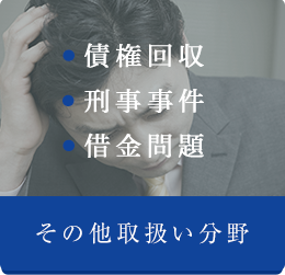 その他取扱い分野